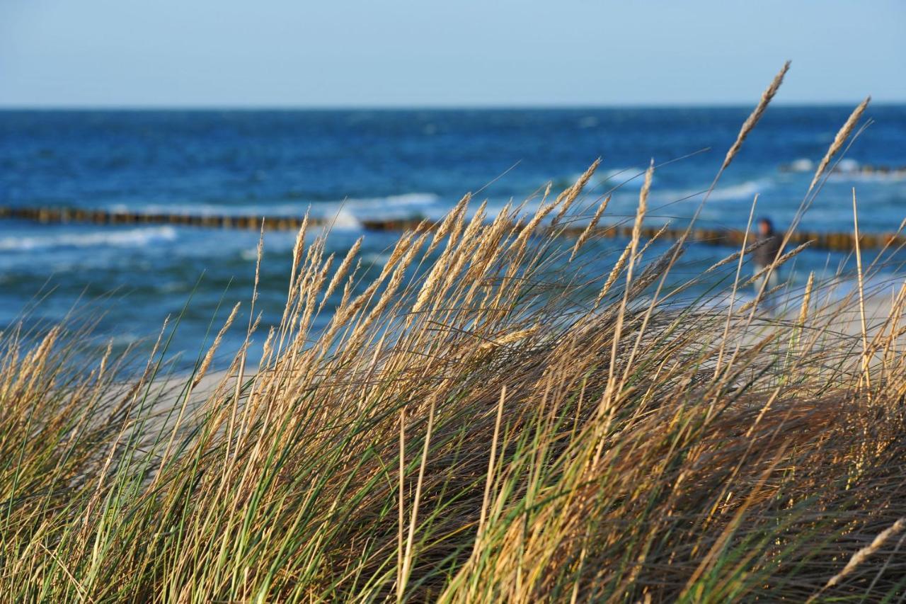 Seestr_54 Nr_304 Zingst Esterno foto