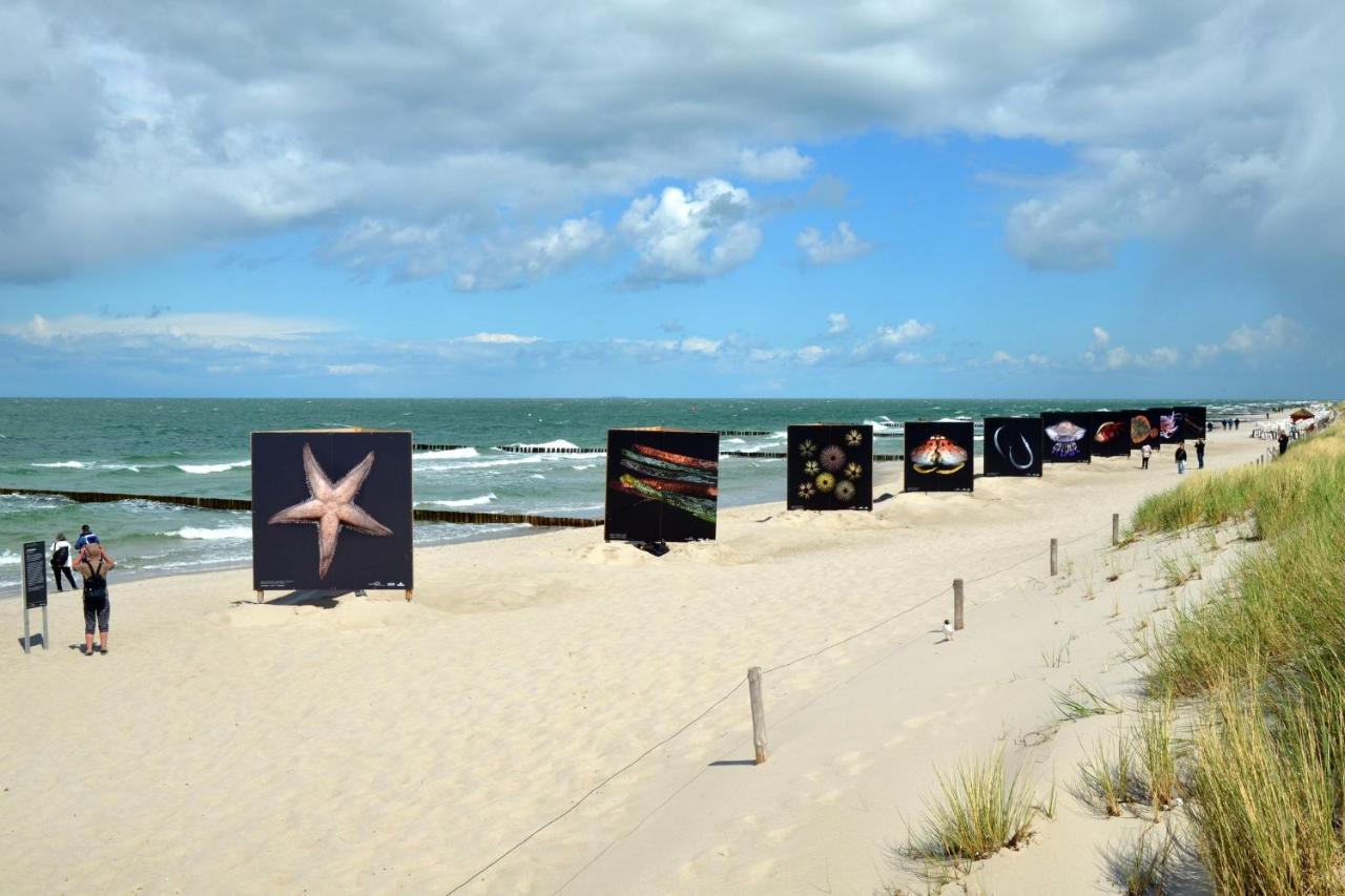 Seestr_54 Nr_304 Zingst Esterno foto