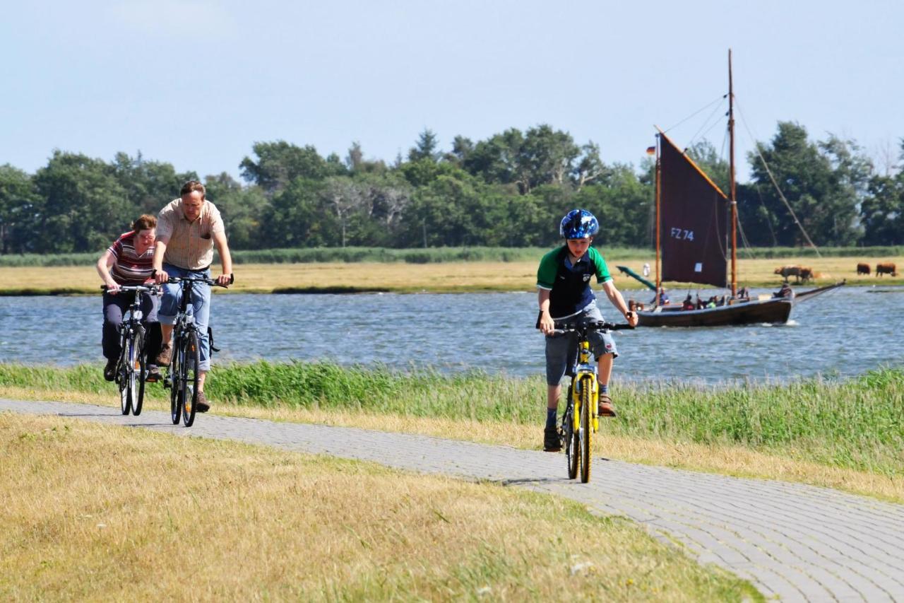 Seestr_54 Nr_304 Zingst Esterno foto