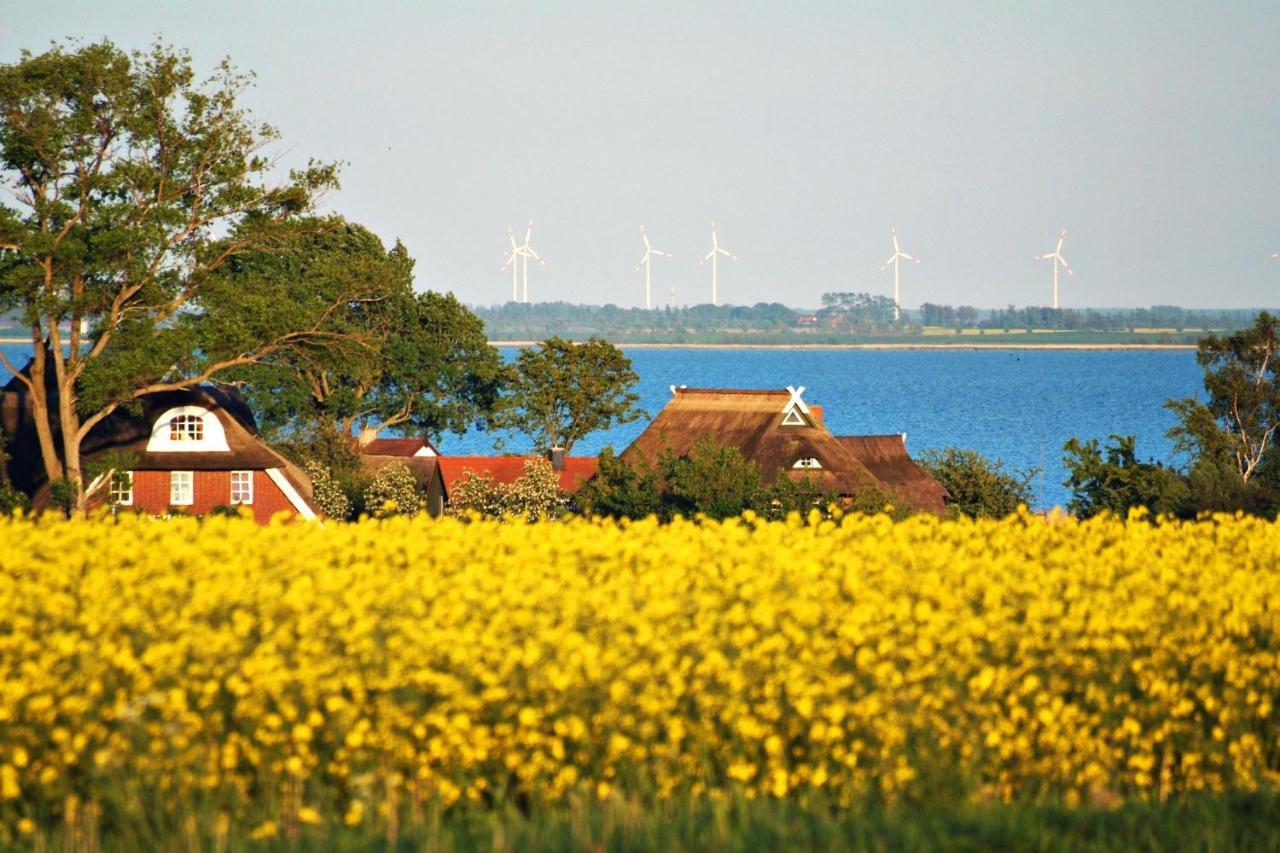 Seestr_54 Nr_304 Zingst Esterno foto